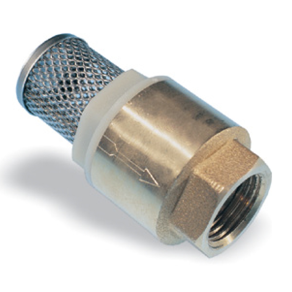 Evertec 7182 Rọ bơm bằng đồng (Lupe) 3/4'' / 1 1/4''