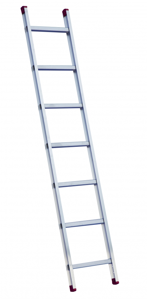 Thang tựa đơn 1 đoạn Rise-Tec® 8006 chiều cao tối đa 2,10 m