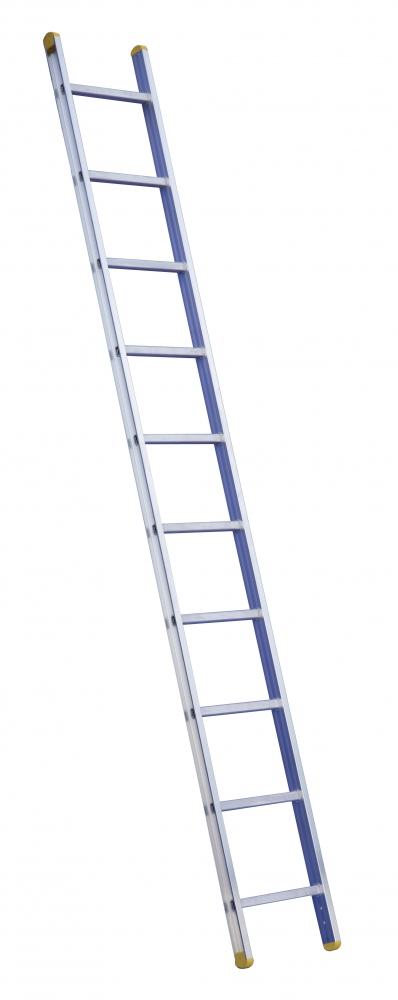 Thang đơn tựa tường 1 đoạn Rise-Tec® 8007 cao tối đa 3,30 m