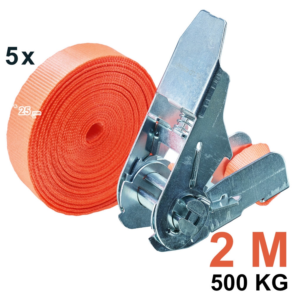 Dây tăng đơ chằng hàng Tector 84502/2M 500kg, 25mm x 2m, bộ 5 sợi